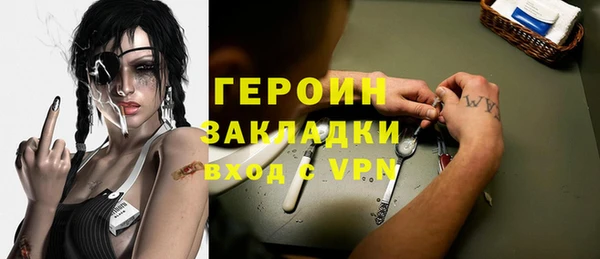 гидра Вязьма