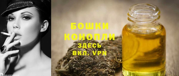 гидра Вязьма