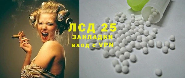 гидра Вязьма