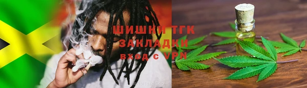 гидра Вязьма