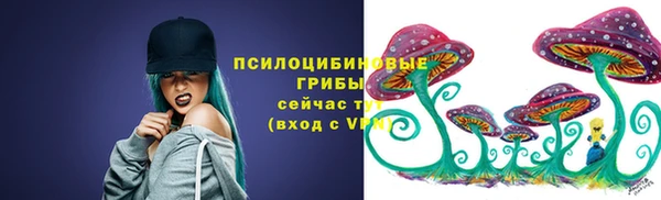 гидра Вязьма