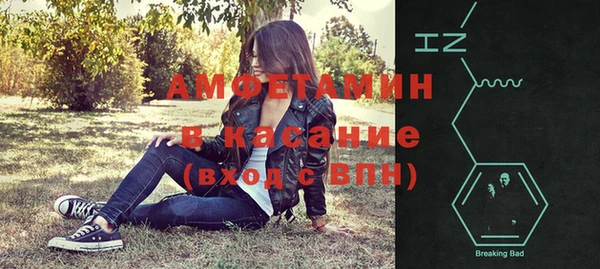 гидра Вязьма