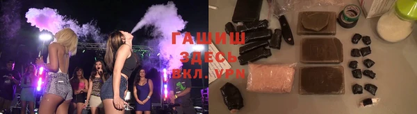гидра Вязьма