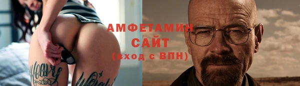 гидра Вязьма