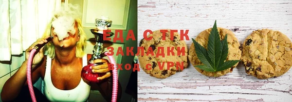 гидра Вязьма