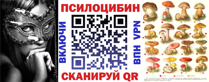 Псилоцибиновые грибы Cubensis Купить где Лесосибирск